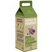 Kit Crescer  Ervas de Provena para os grelhados